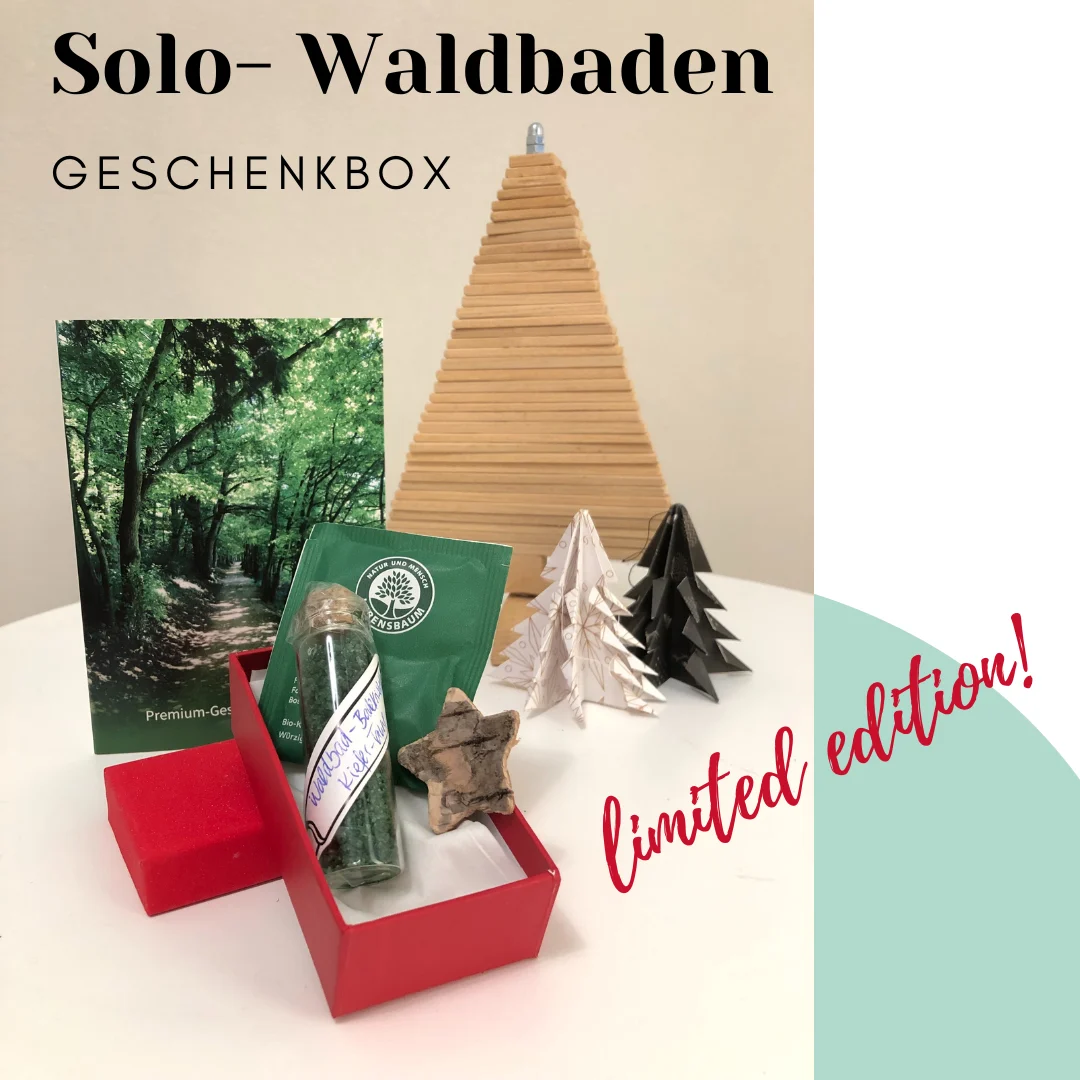 Gutschein Solo-Waldbaden