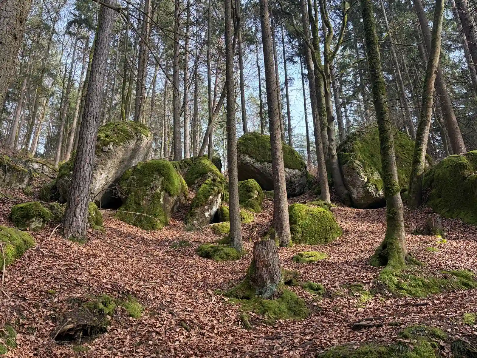 Waldbaden Nürnberg - 2026